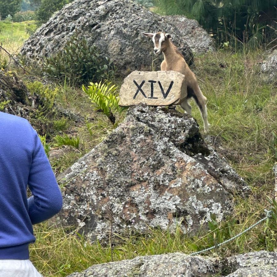 WhatsApp Image 2025-04-24 at 10.39.24 AM (2)