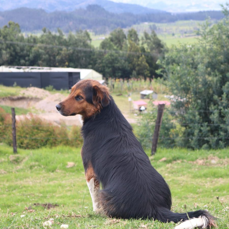 WhatsApp Image 2025-07-29 at 1.30.53 PM (1)