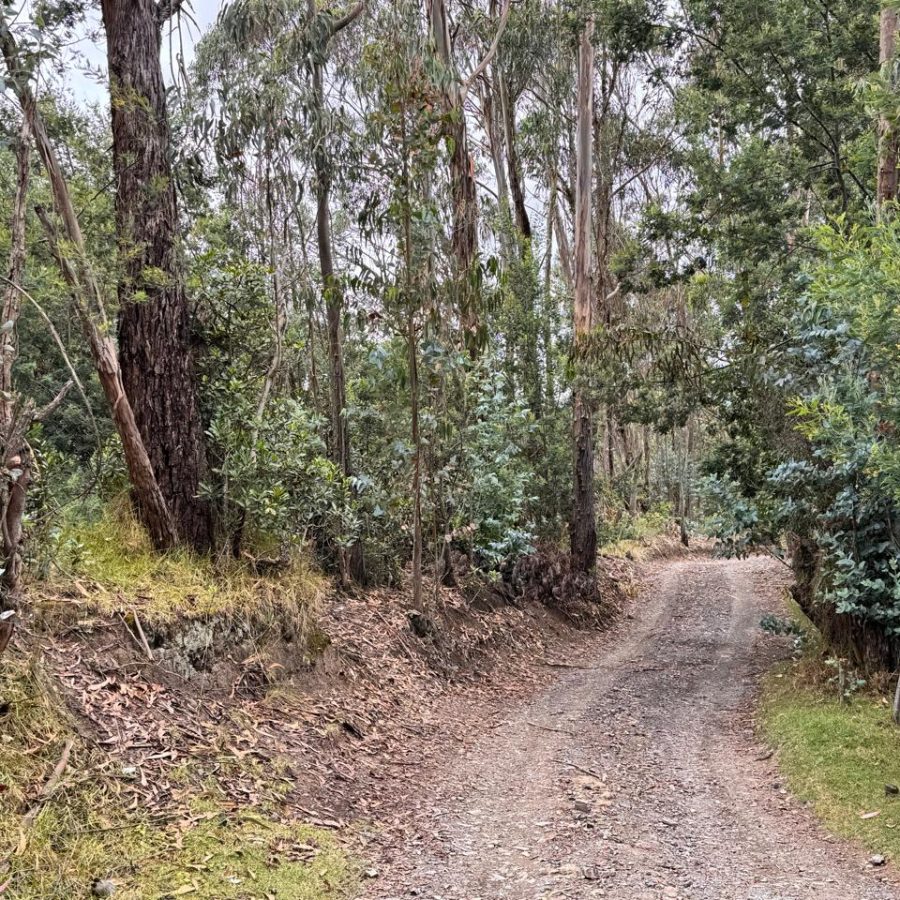 WhatsApp Image 2025-09-05 at 7.41.02 AM